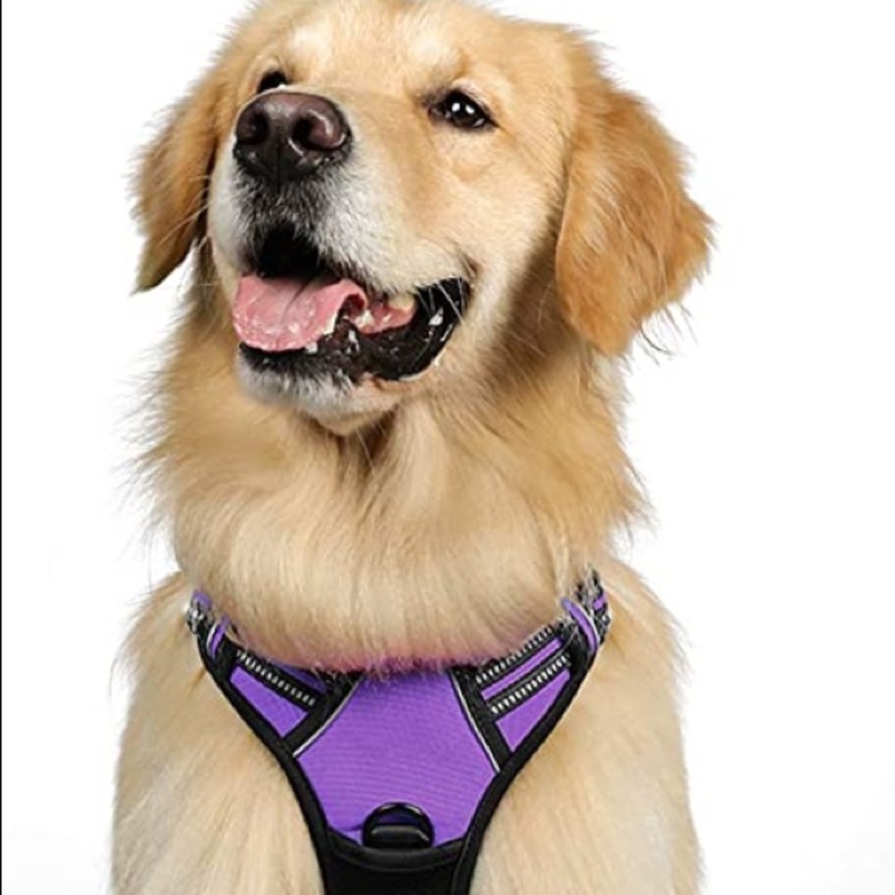 Rabbitgoo No Pull Dog Harness